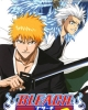 Bleach: Heat the Soul 3