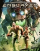 Enslaved: Odyssey to the West