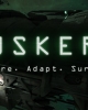 Duskers