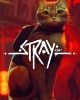 Stray