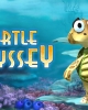 Turtle Odyssey