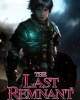 The Last Remnant