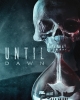 Until Dawn