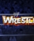 WWE WrestleFest (Отменена)