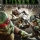 Teenage Mutant Ninja Turtles: Out of the Shadows