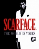 Scarface: The World is Yours