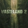 Wasteland 2