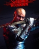 Shadow Warrior (2013)