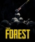 The Forest