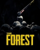 The Forest