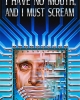 I Have No Mouth, and I Must Scream
