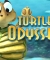 Turtle Odyssey 2