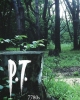 P.T.