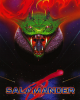 Salamander