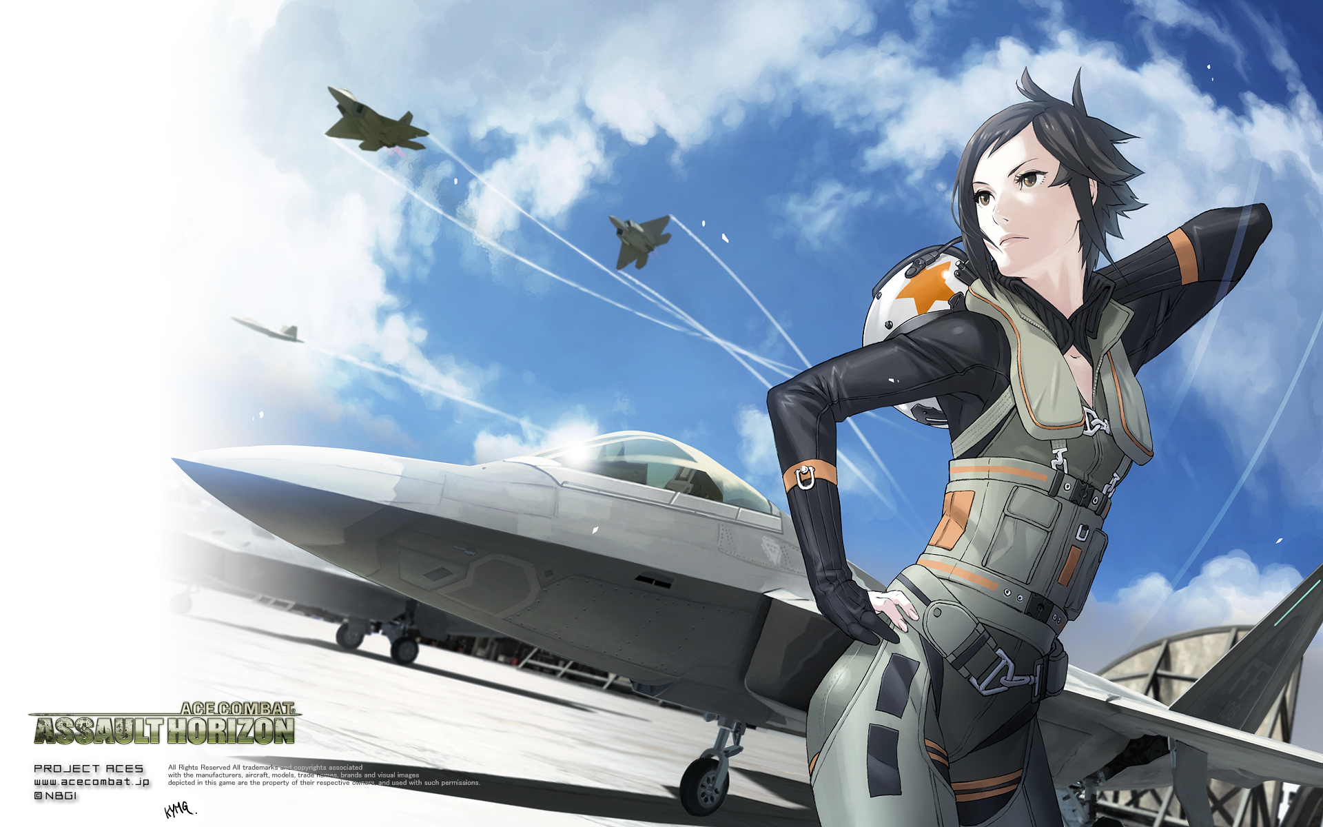 Покоряя небеса (Ace Combat: Assault Horizon) — Статьи — Ace Combat: Assault  Horizon — Square Faction